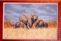 Elephant Painting