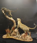 IMG_4700 (2)